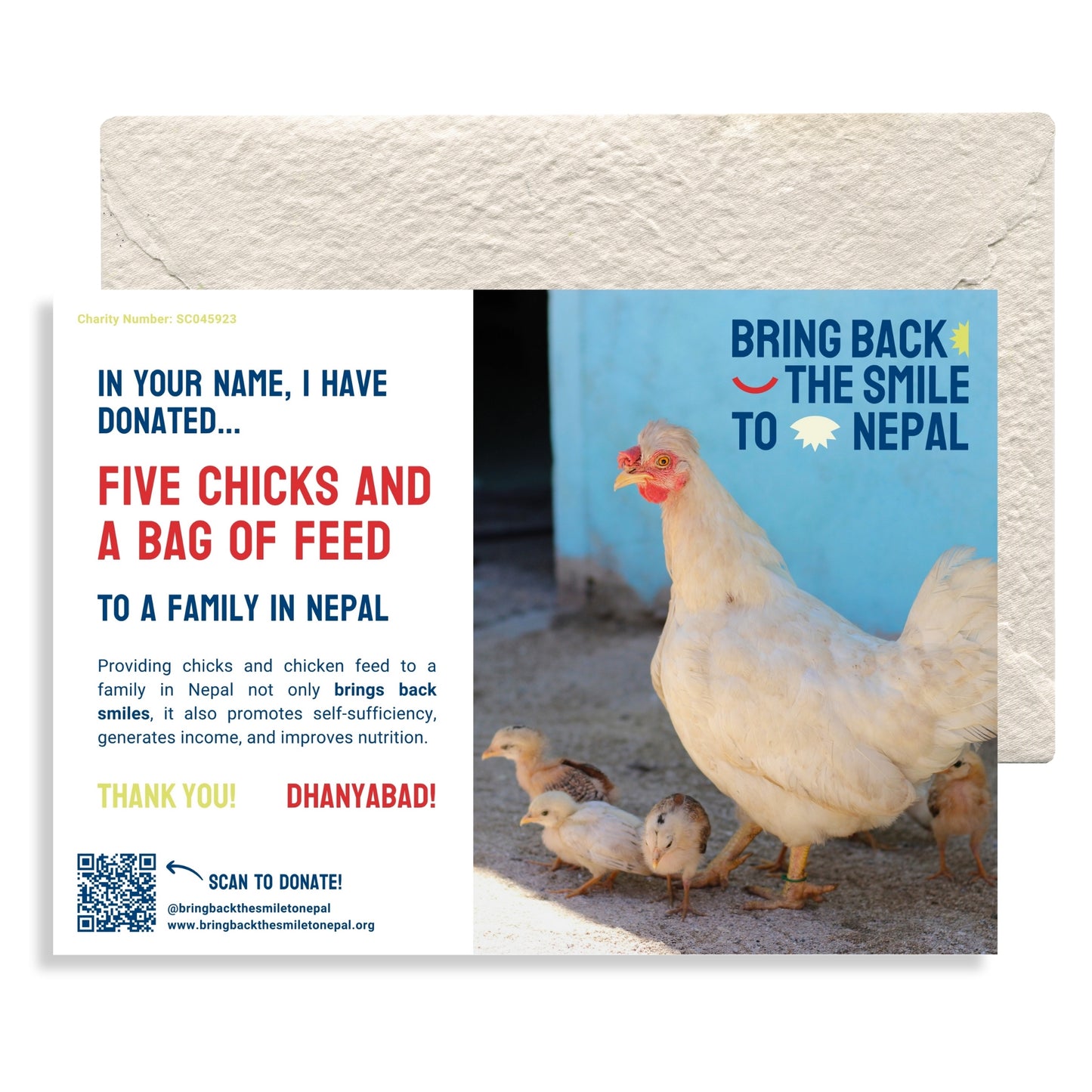 Five Chicks and a Bag of Feed